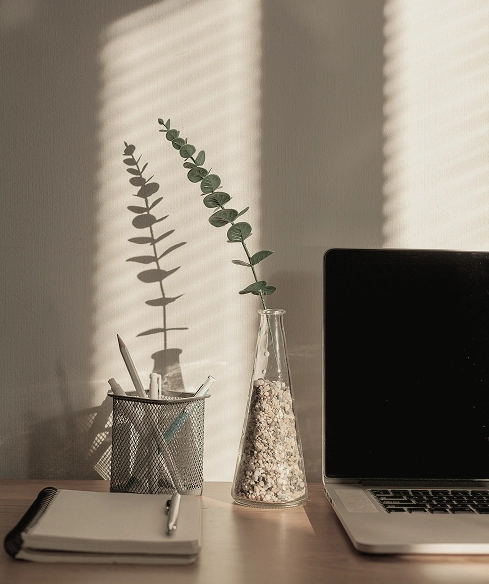 Bureau avec plante, carnet de notes, crayons et ordinateur portable